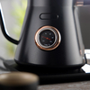 Electric Kettle 0.8L Gooseneck Pour Over Kettle for Coffee & Tea Stainless Steel Teapot